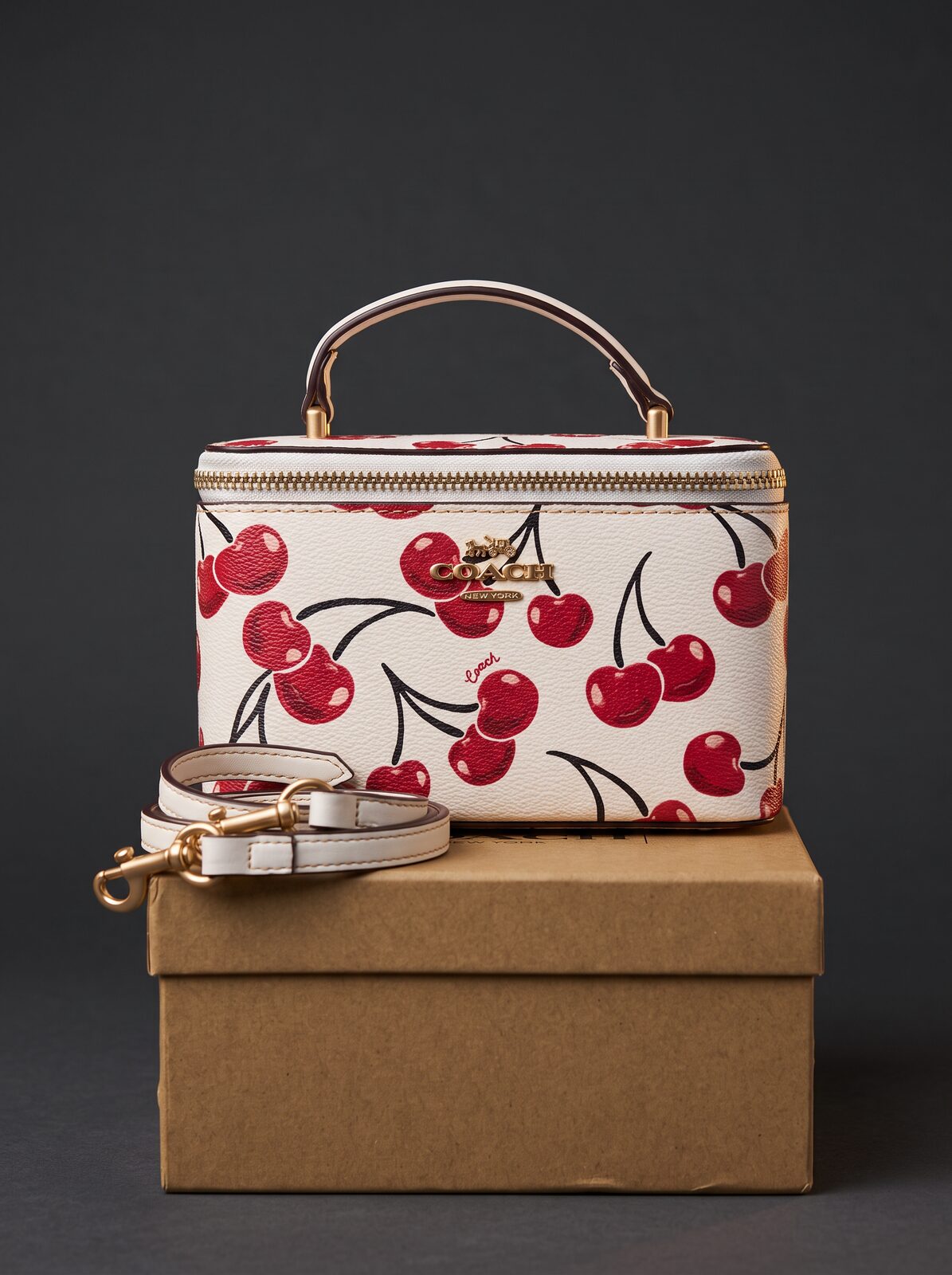 SAC COACH MASTER QUALITÉ 84